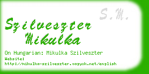 szilveszter mikulka business card